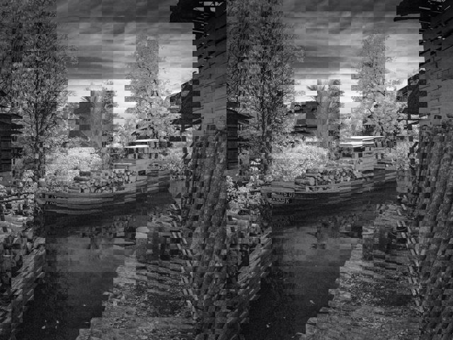 From Mangroves to Charcoal